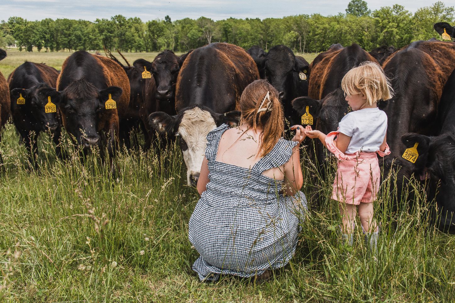 Photo of life on the farm.